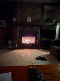 Foyer apporté vos bûches biologiques