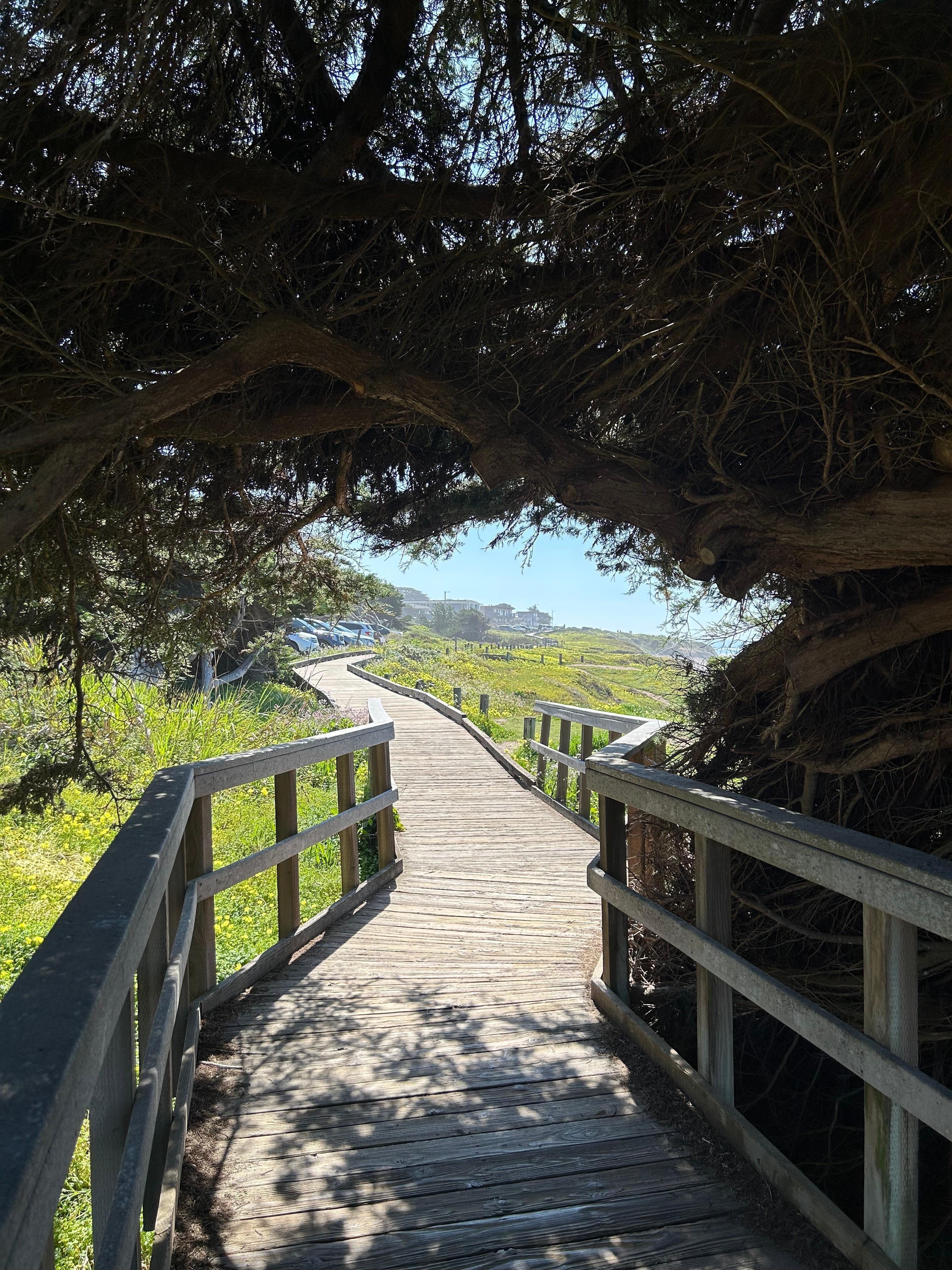 1 Mile boardwalk above the beach