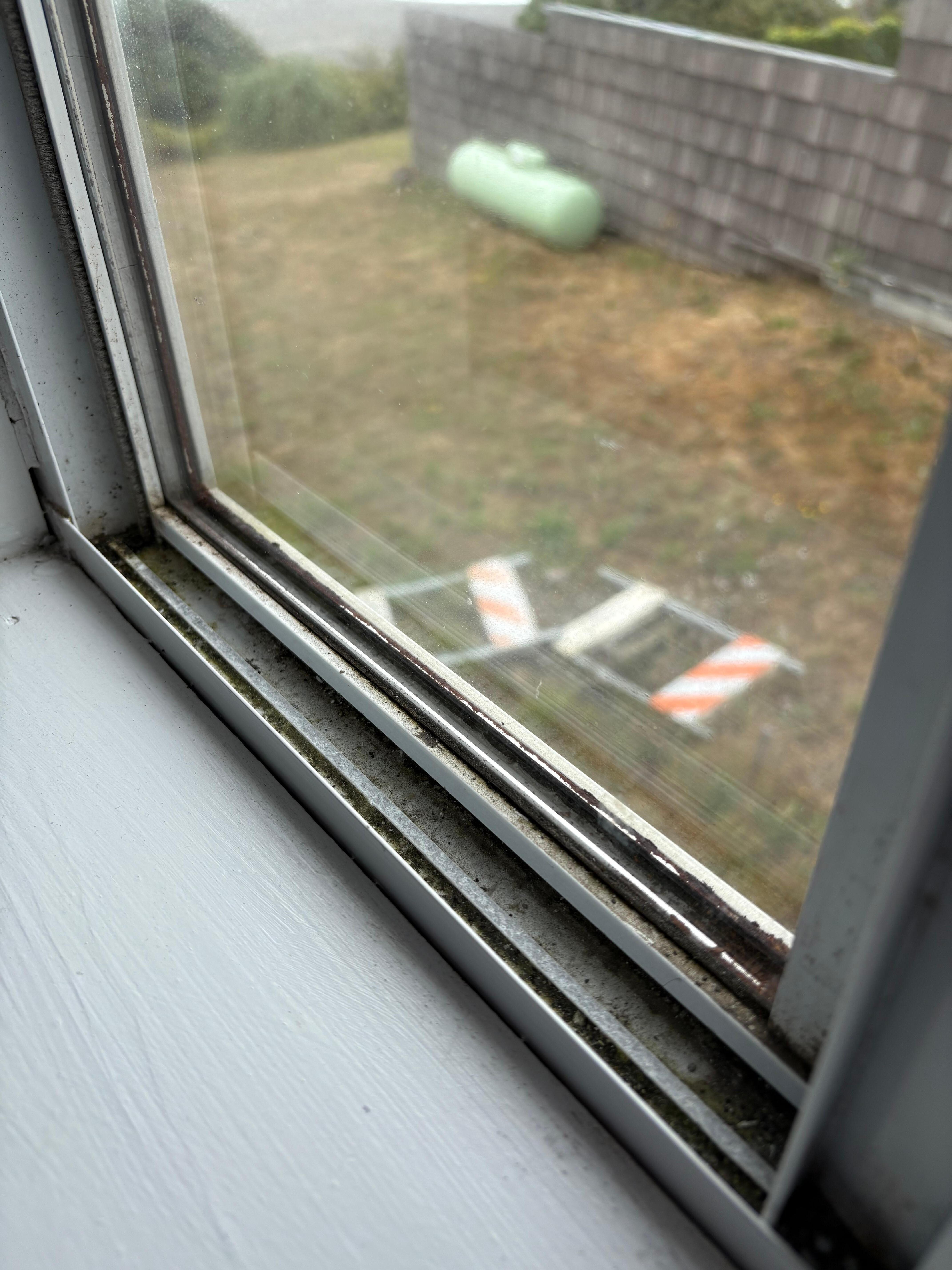 All window seals looked like this