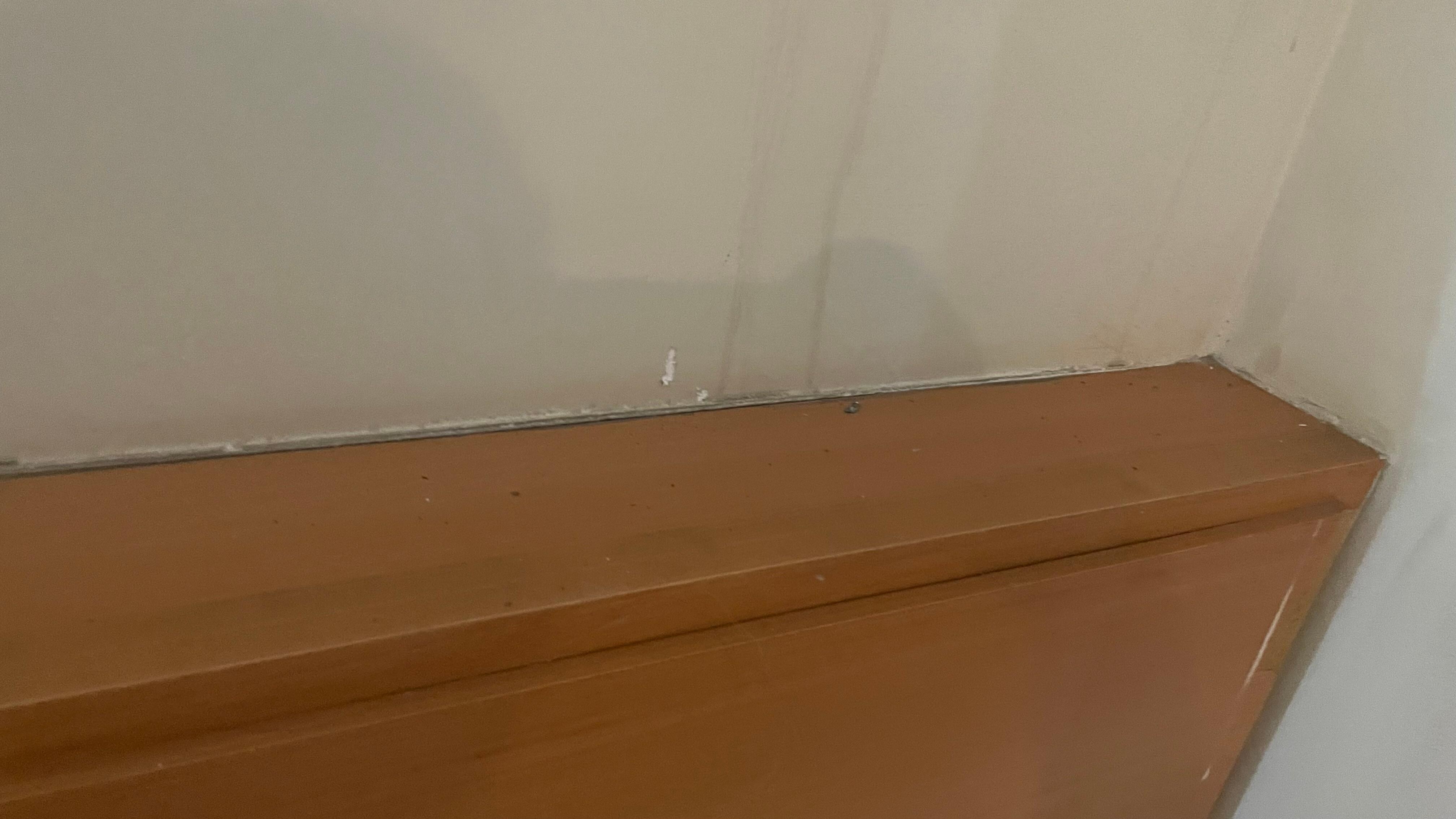 Sujeira tinha aranha teia de aranha 