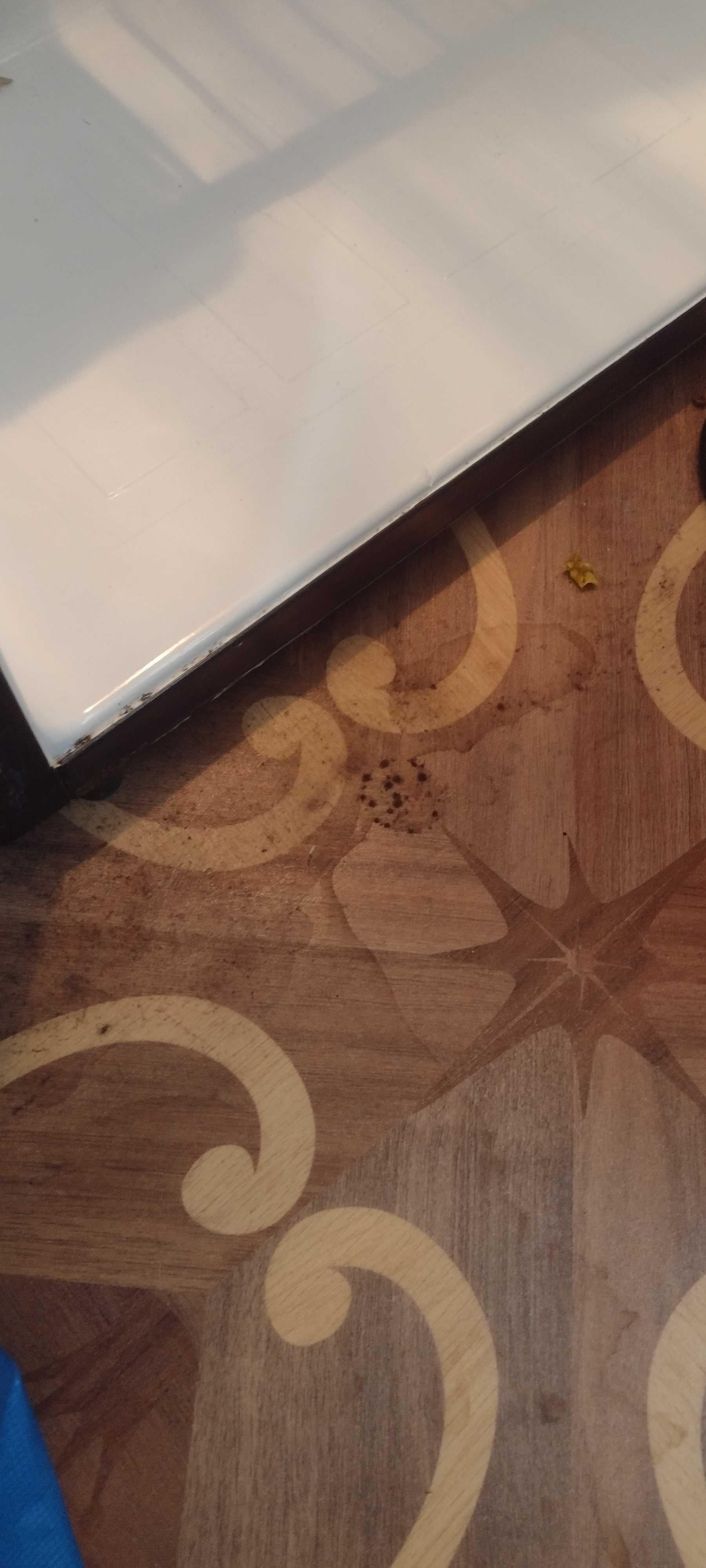 Mold under mini fridge