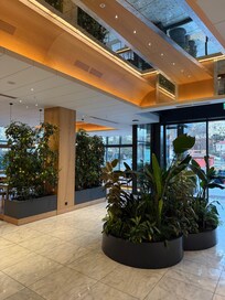 Lobby/Eingangsbereich