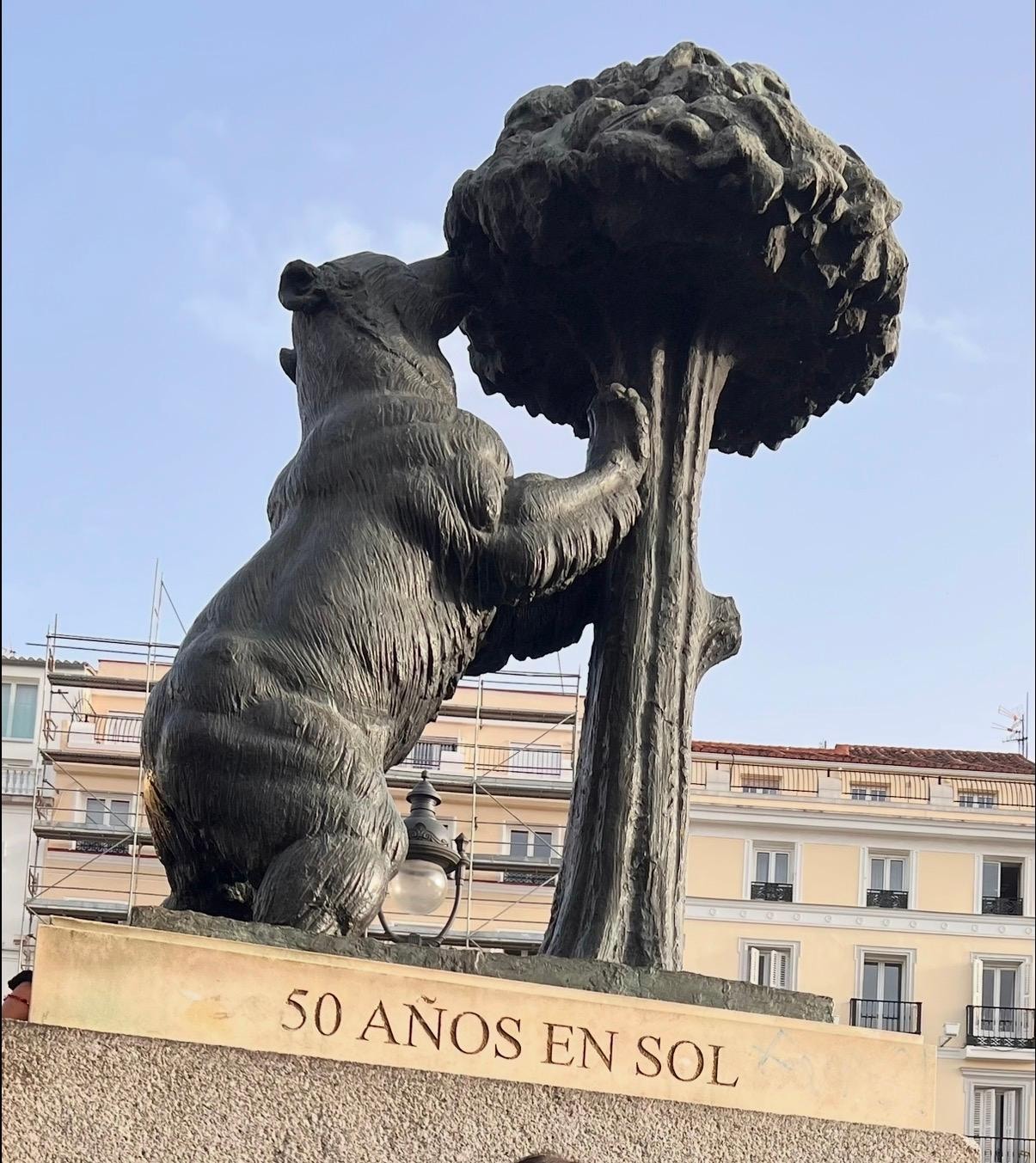 Bear and strawberry tree