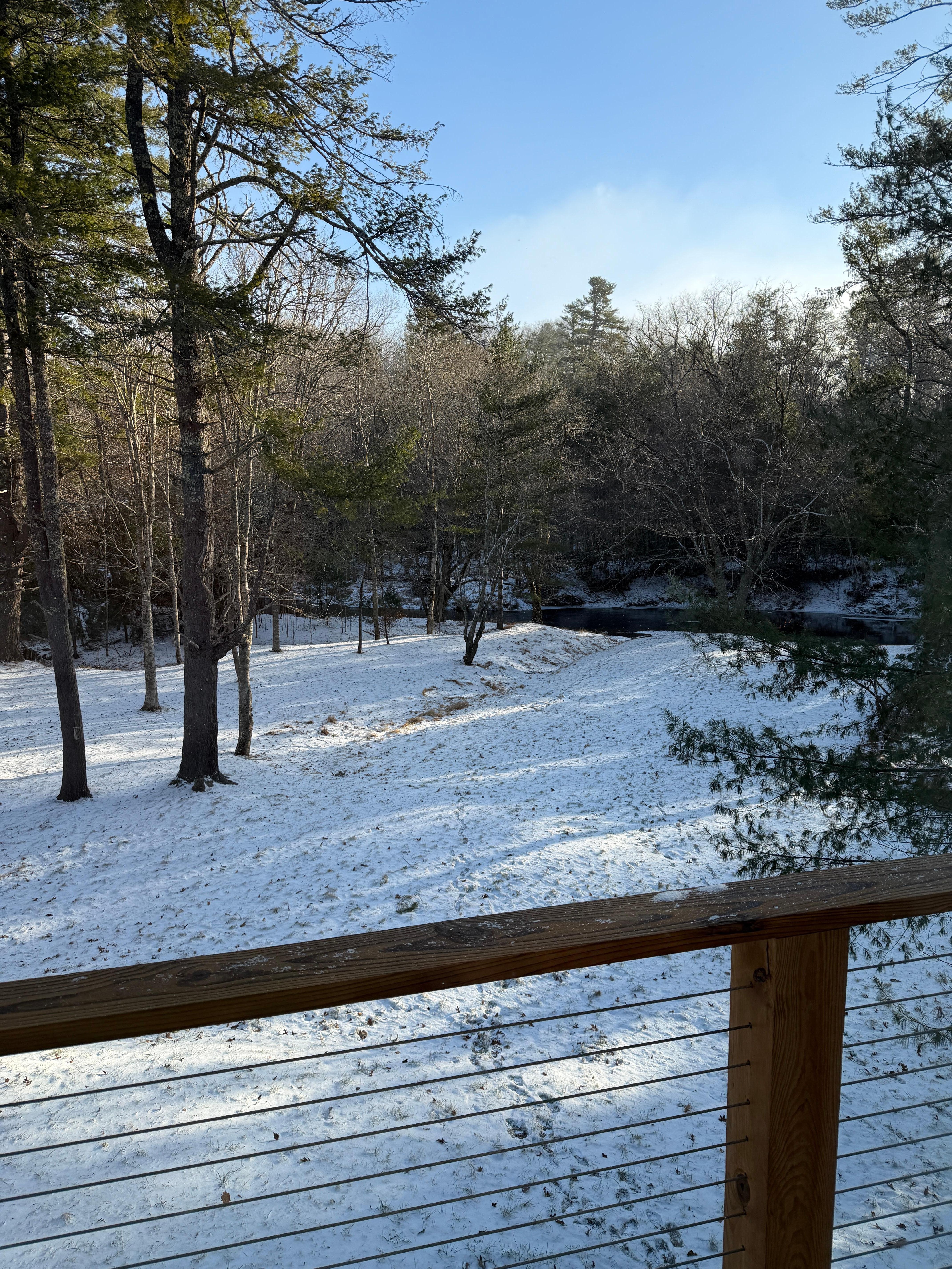 Back yard from the porch after overnight snow