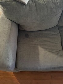 Spot on couch
