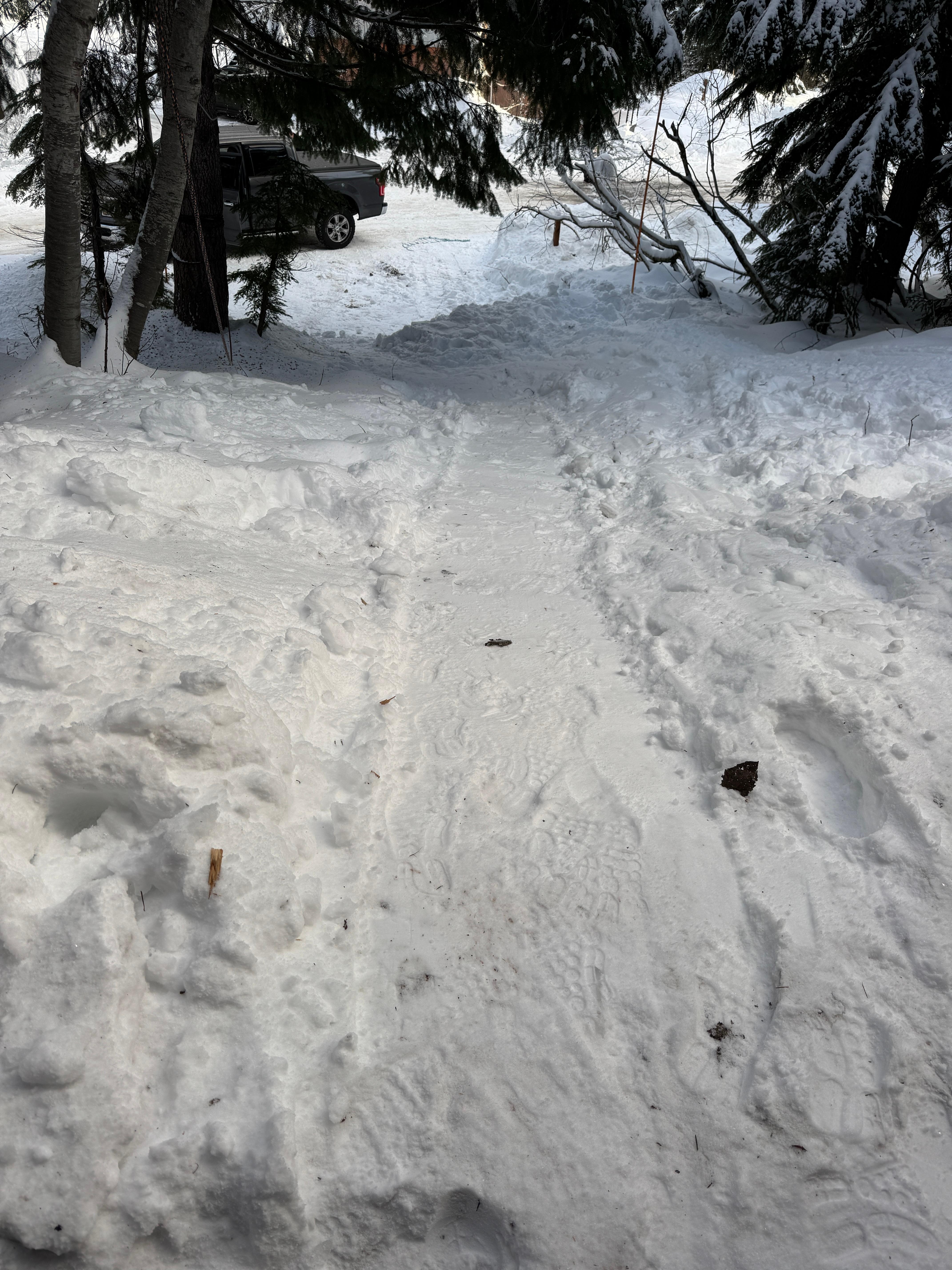 The walkway when we went was covered in thick snow. Wear shoe tracks/chains if you have them—super helpful! 