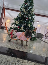 Árvore da recepção