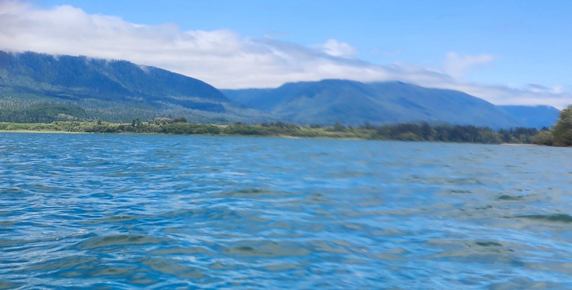 Quinault Lake from kayak. 