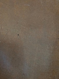 More mouse feces on floor