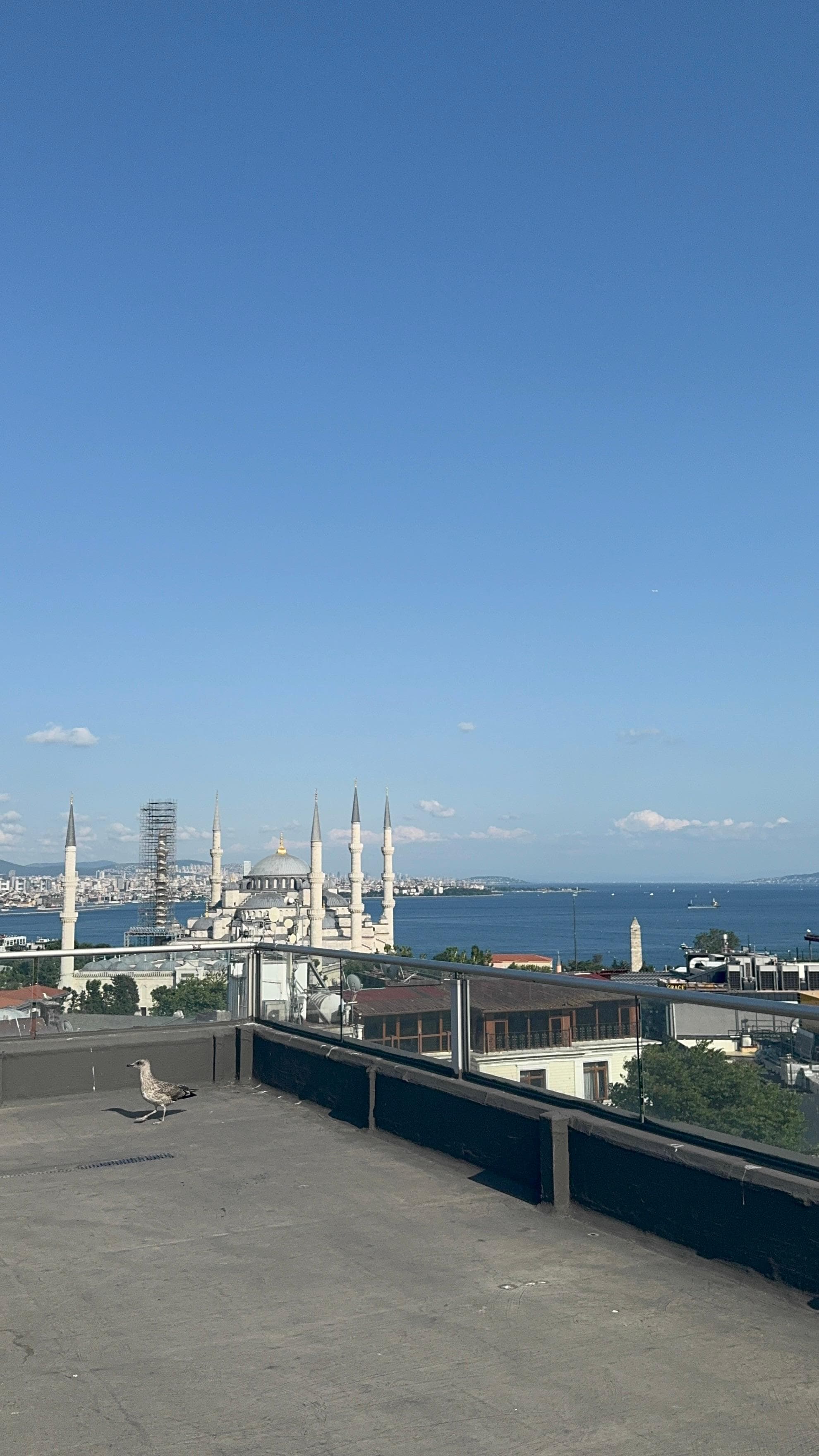 View from rooftop. 