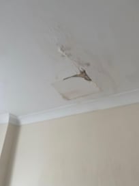 Ceiling damaged - theme throughout the building unkept and damage everywhere