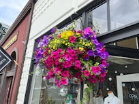 Lots of nice shops and beautiful flowers in Friday Harbor.