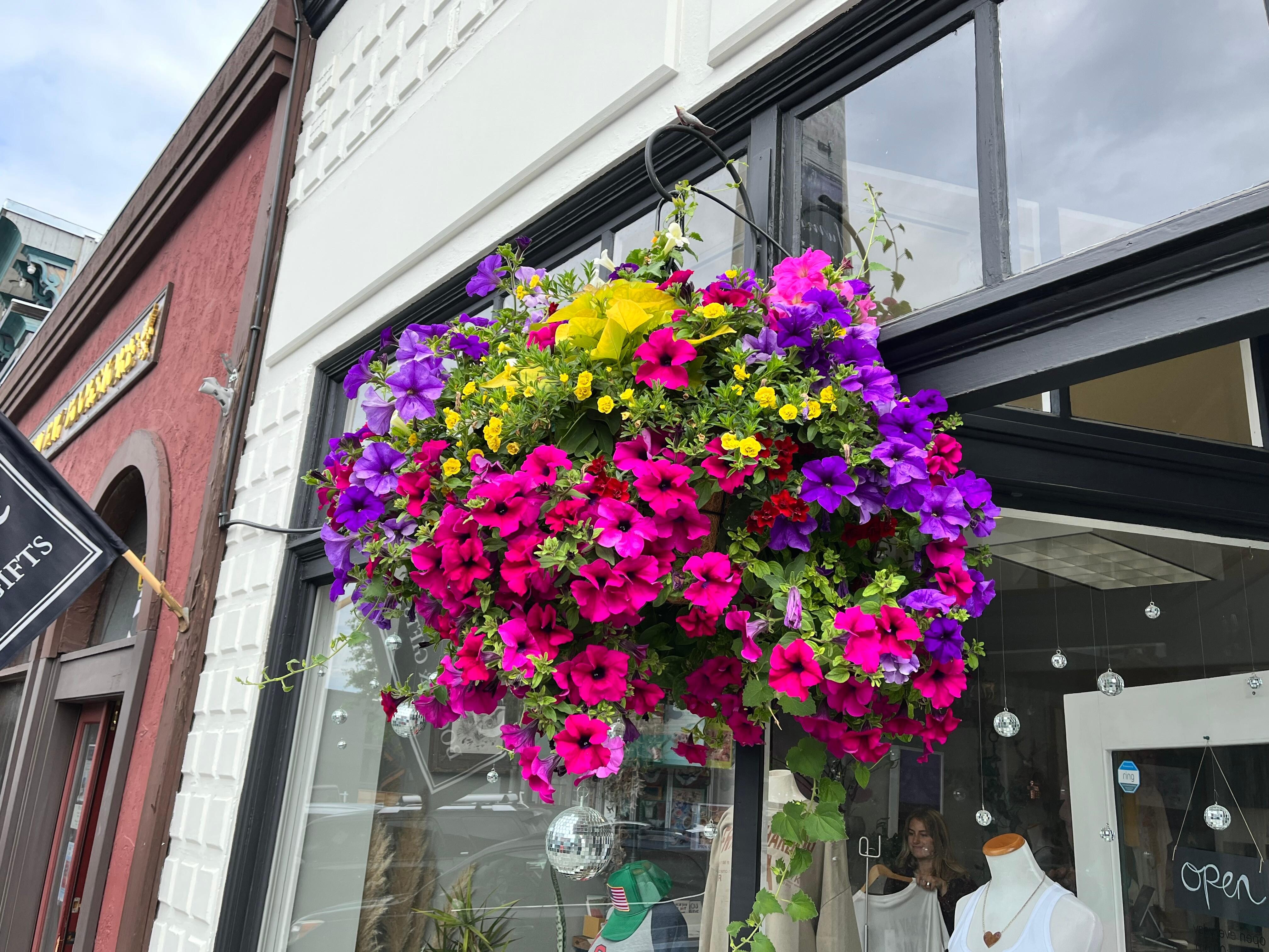 Lots of nice shops and beautiful flowers in Friday Harbor.
