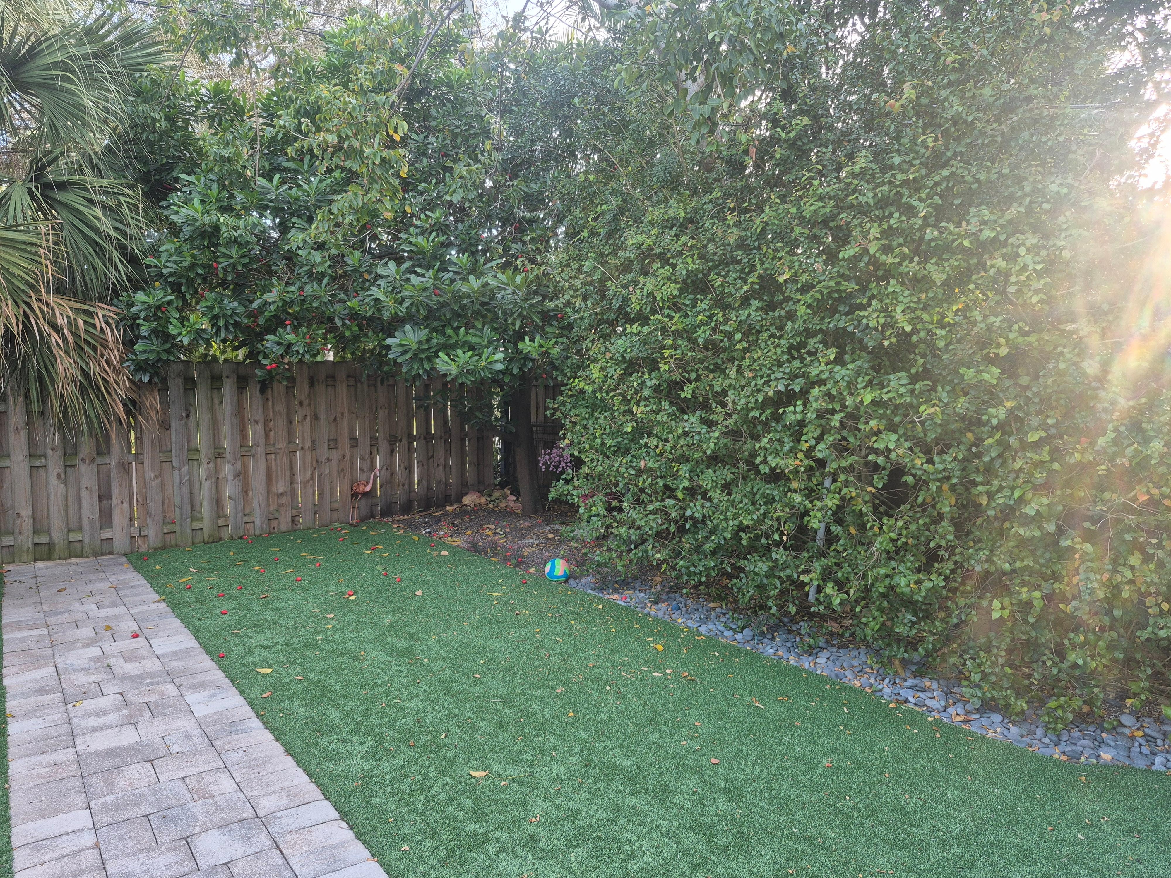 Backyard green space