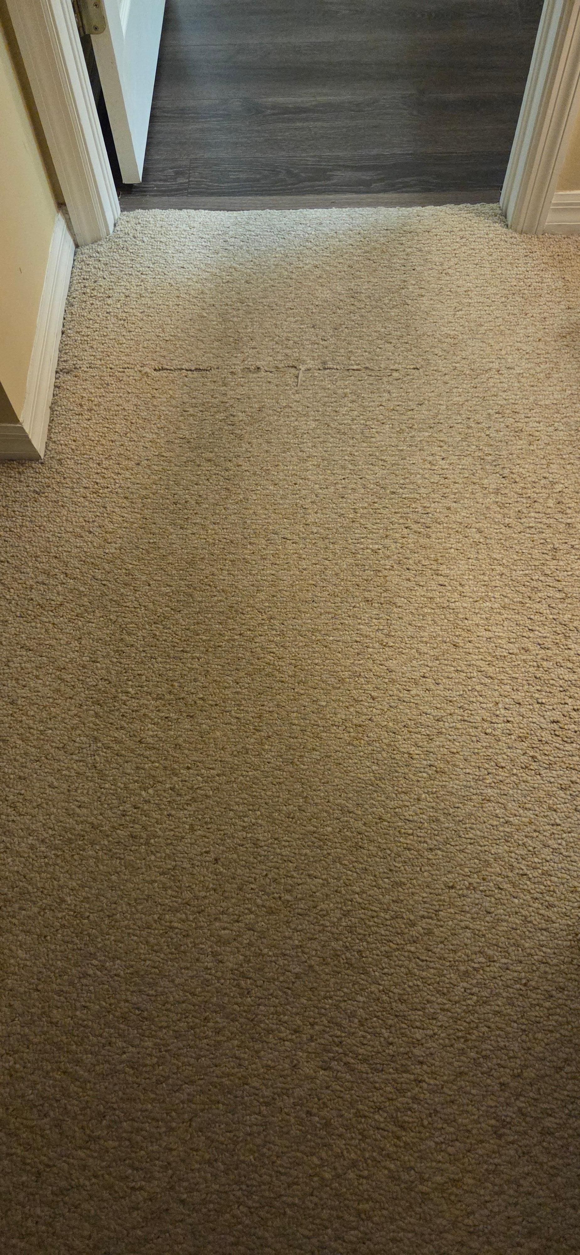 dirty and torn carpet between the entry and bedroom