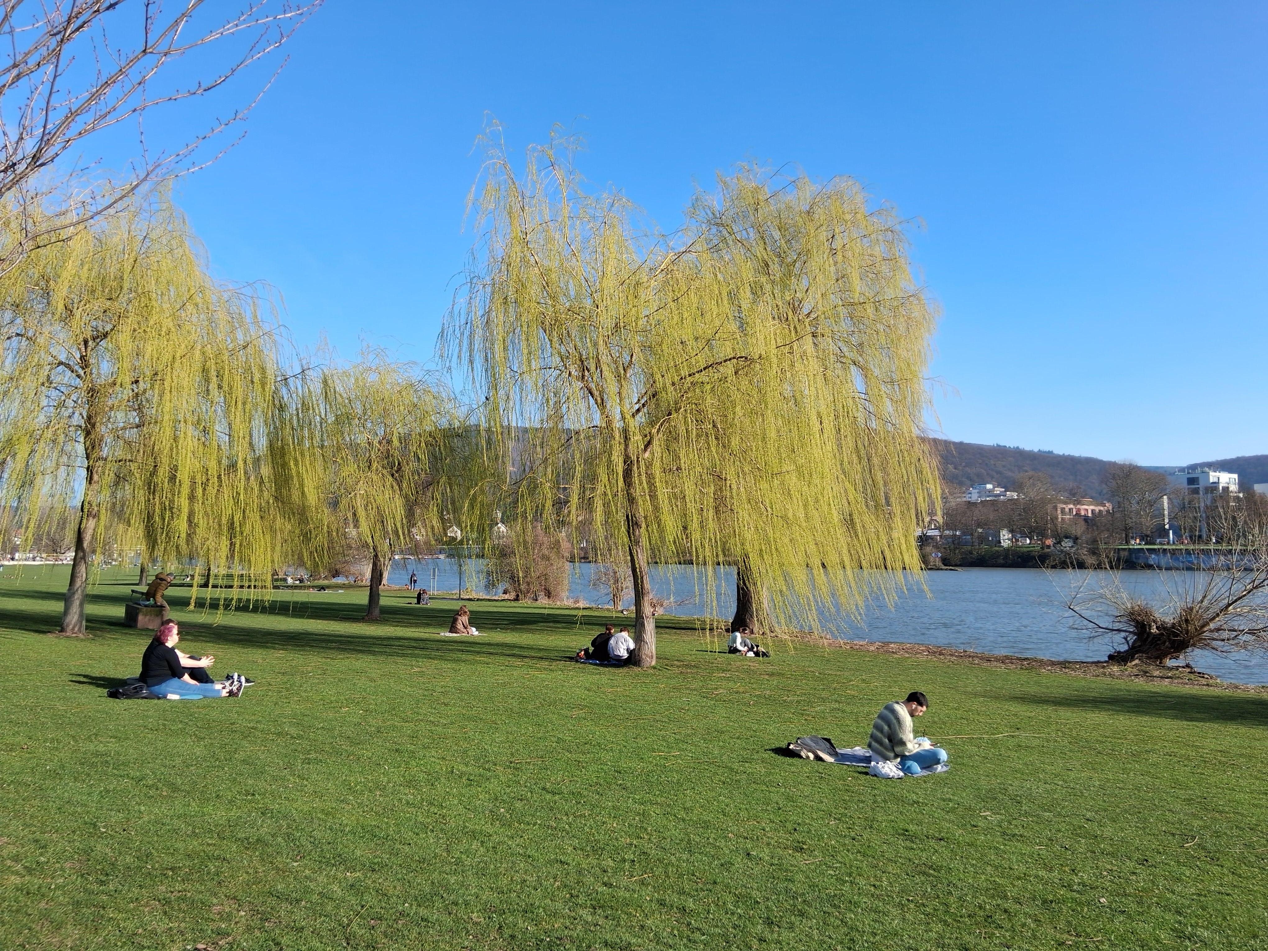 Spazieren am nahen Neckarstaden