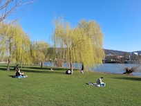 Spazieren am nahen Neckarstaden