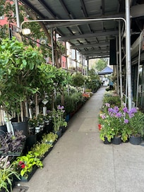 Street view of hotel in the morning - flower district.