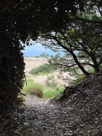 Side entrance to Jockey's Ridge State Park