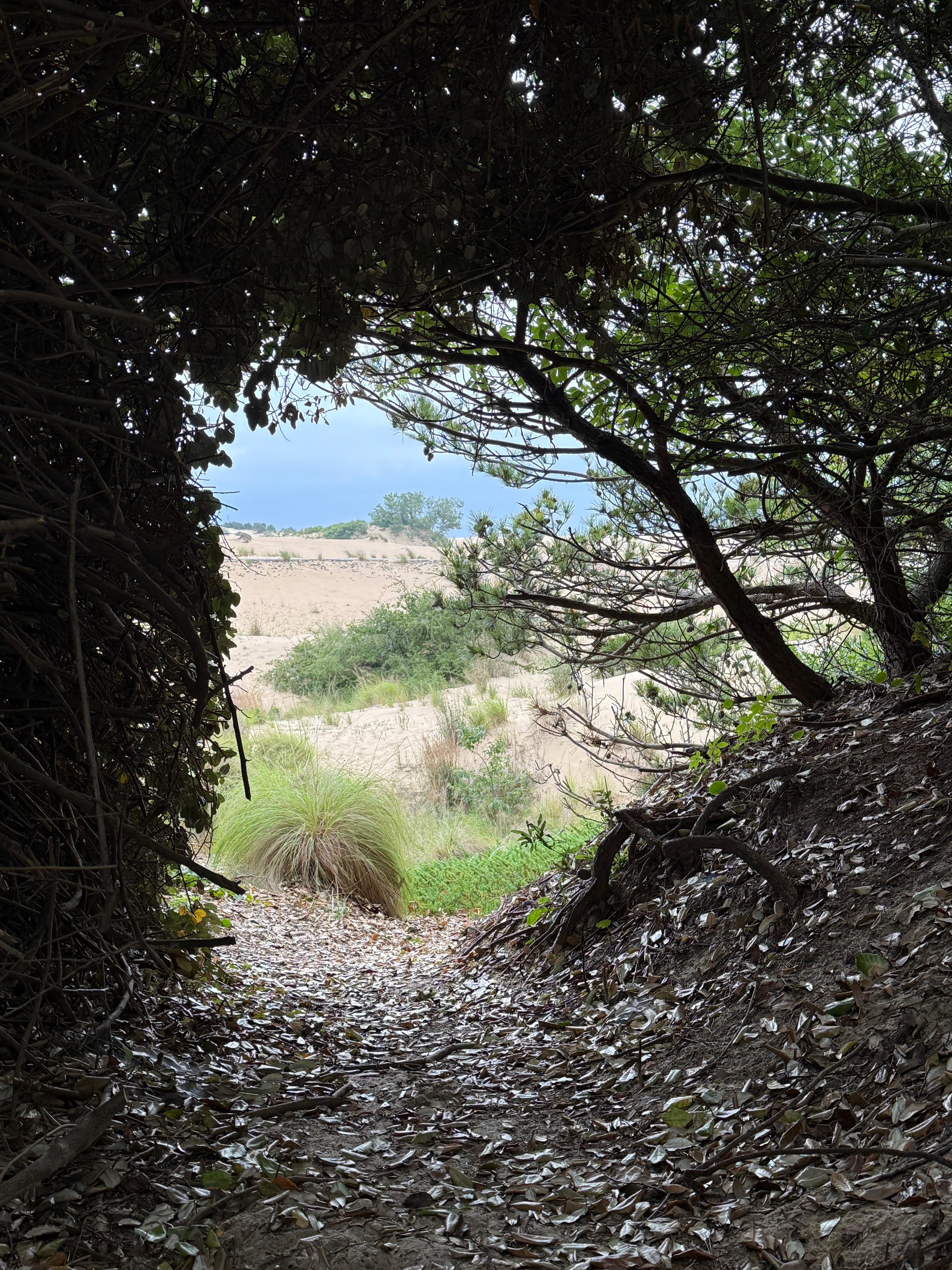 Side entrance to Jockey's Ridge State Park