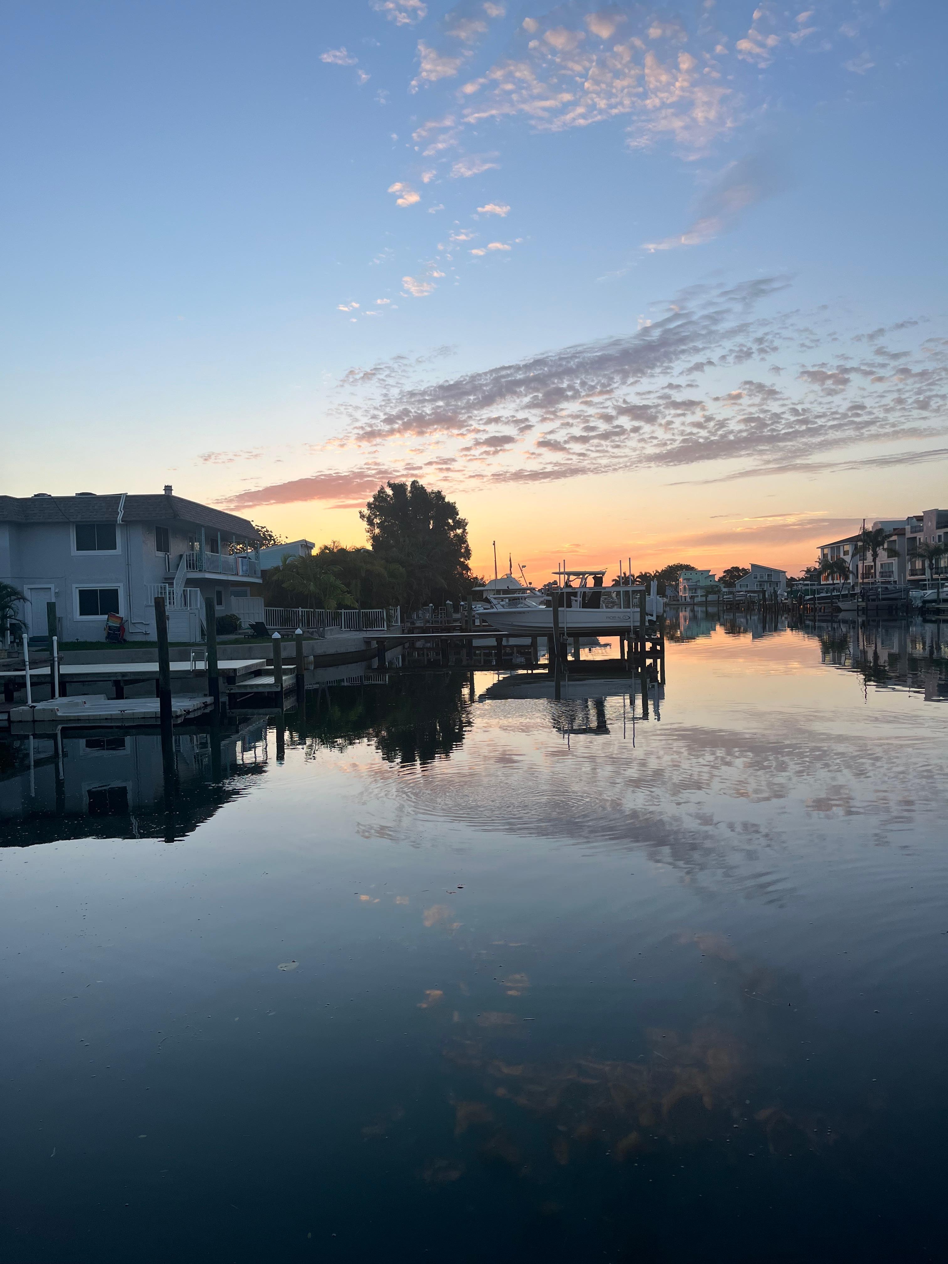 The river view