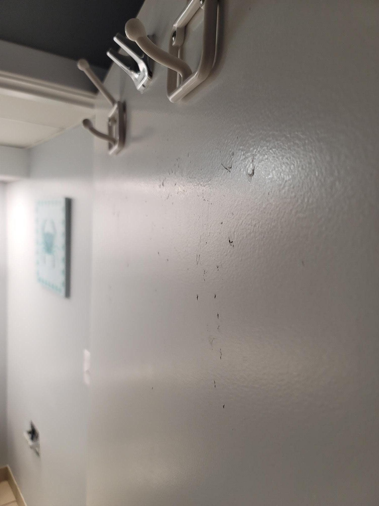 Hairs painted into the door with the ONLY hooks in the unit