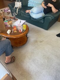 Stained rugs!!!