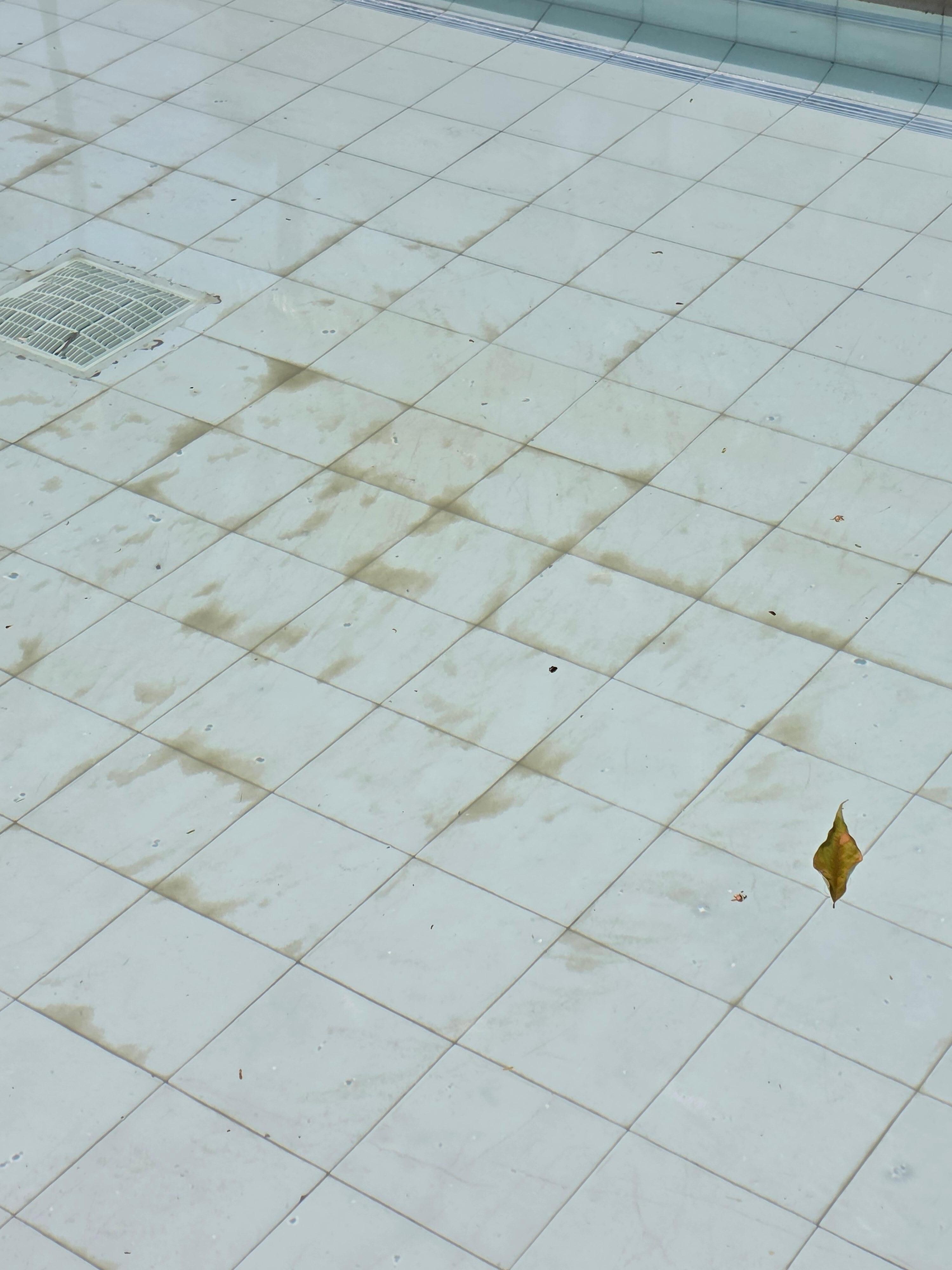 The pools had lots of algae growing on the bottom.