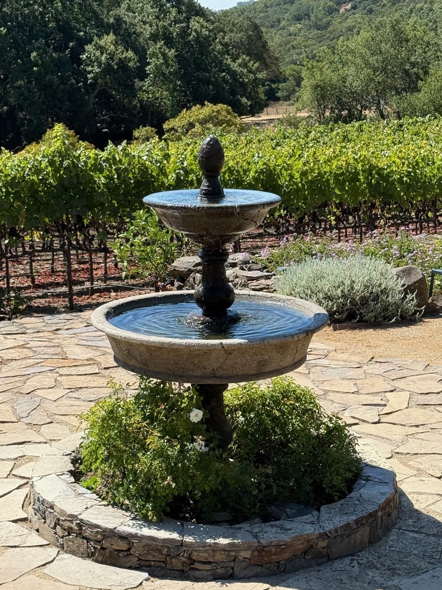 View from Deck of Fountain & Vineyard