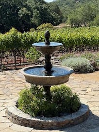 View from Deck of Fountain & Vineyard
