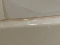 Pink mold and dirty edges of bathtub. It was pink mold as when I took some paper towel it wiped off.
