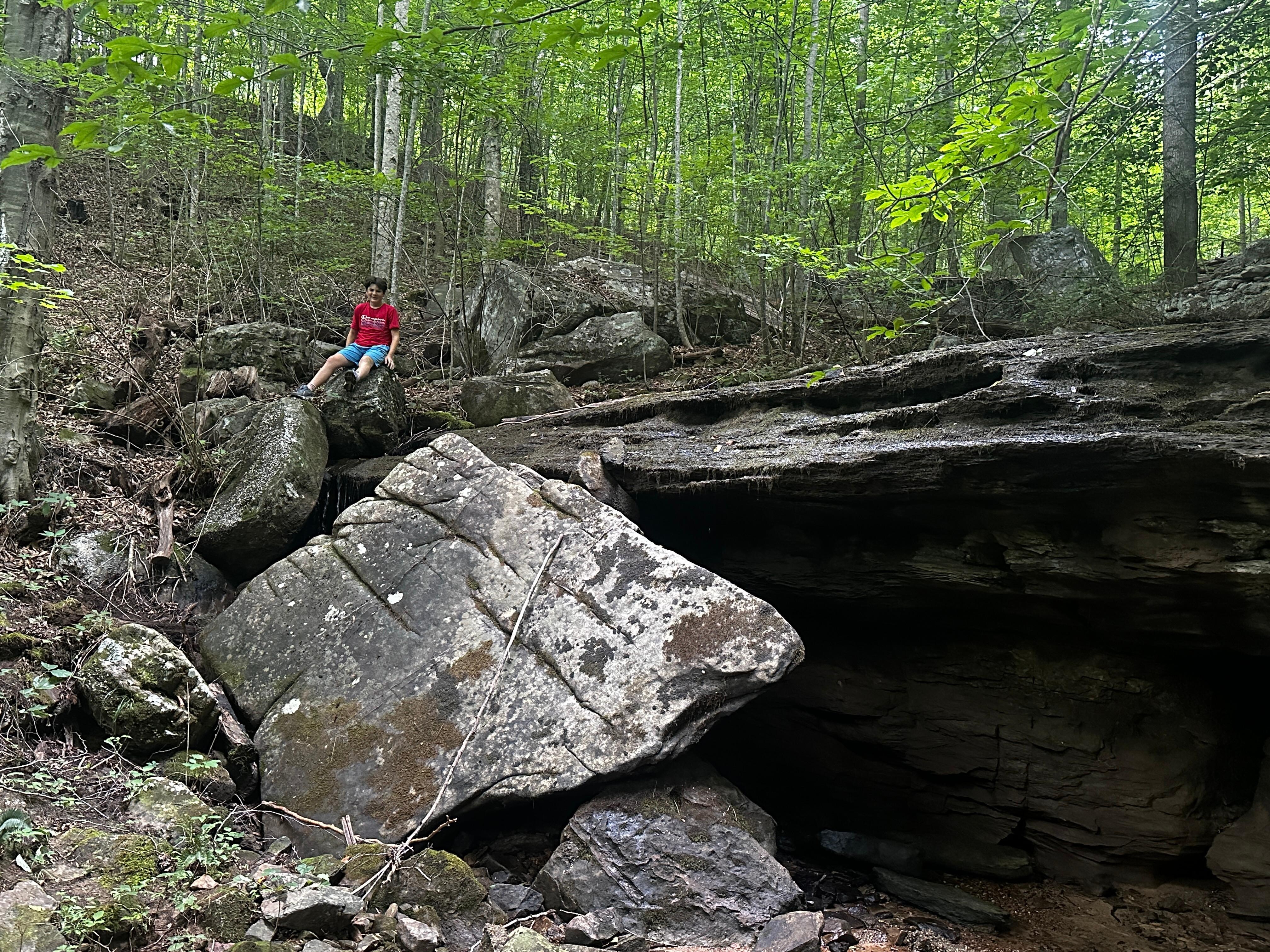 Down a trail by the house