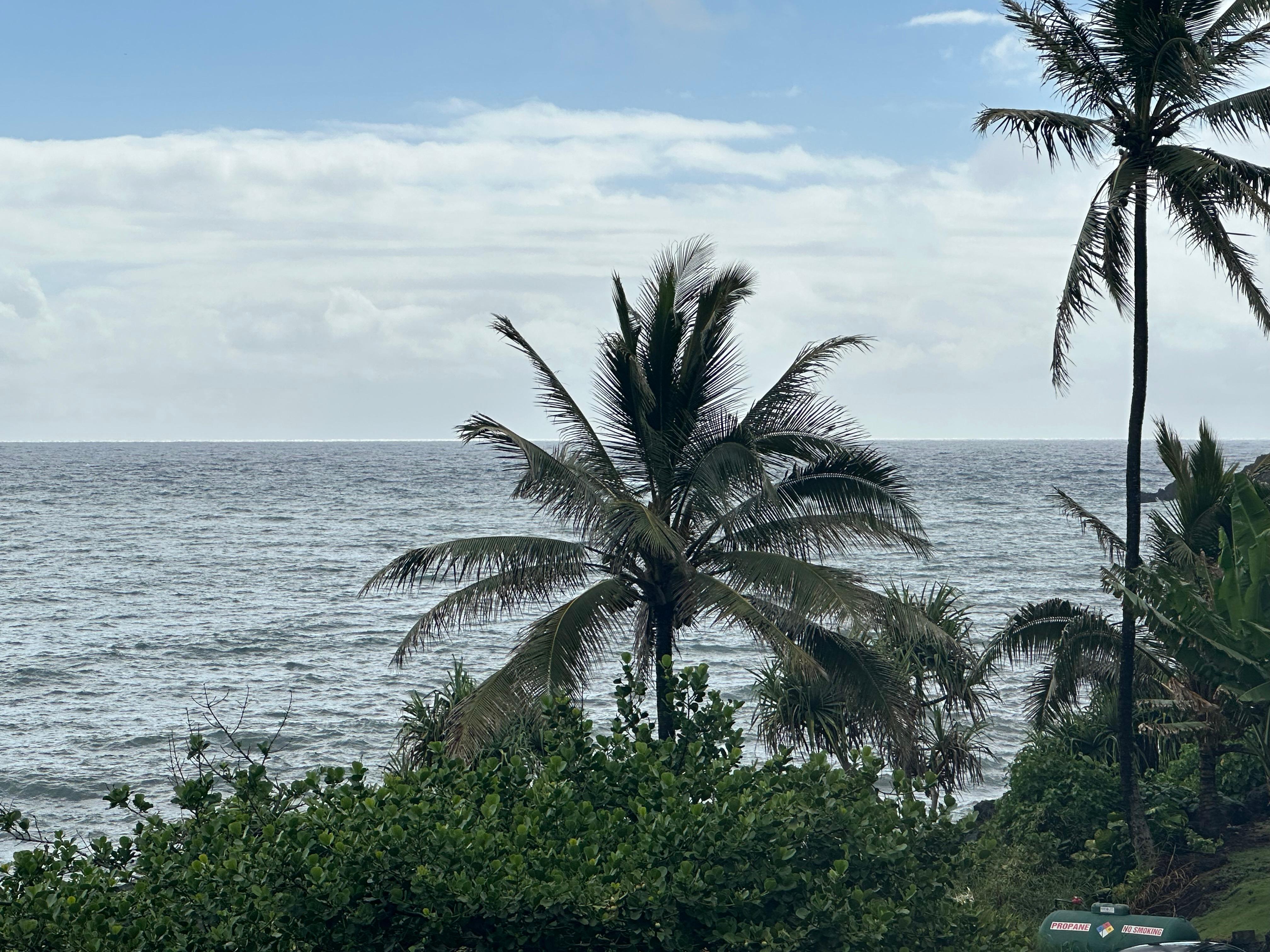 View from lanai