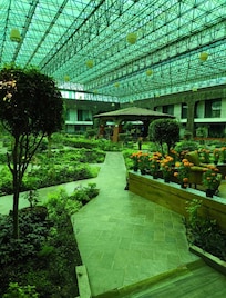 Jardín