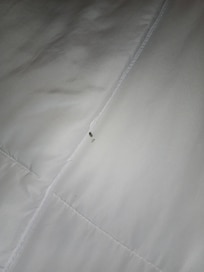 Dead bugs on bed seen after removing the colorful decorative roll pillow.