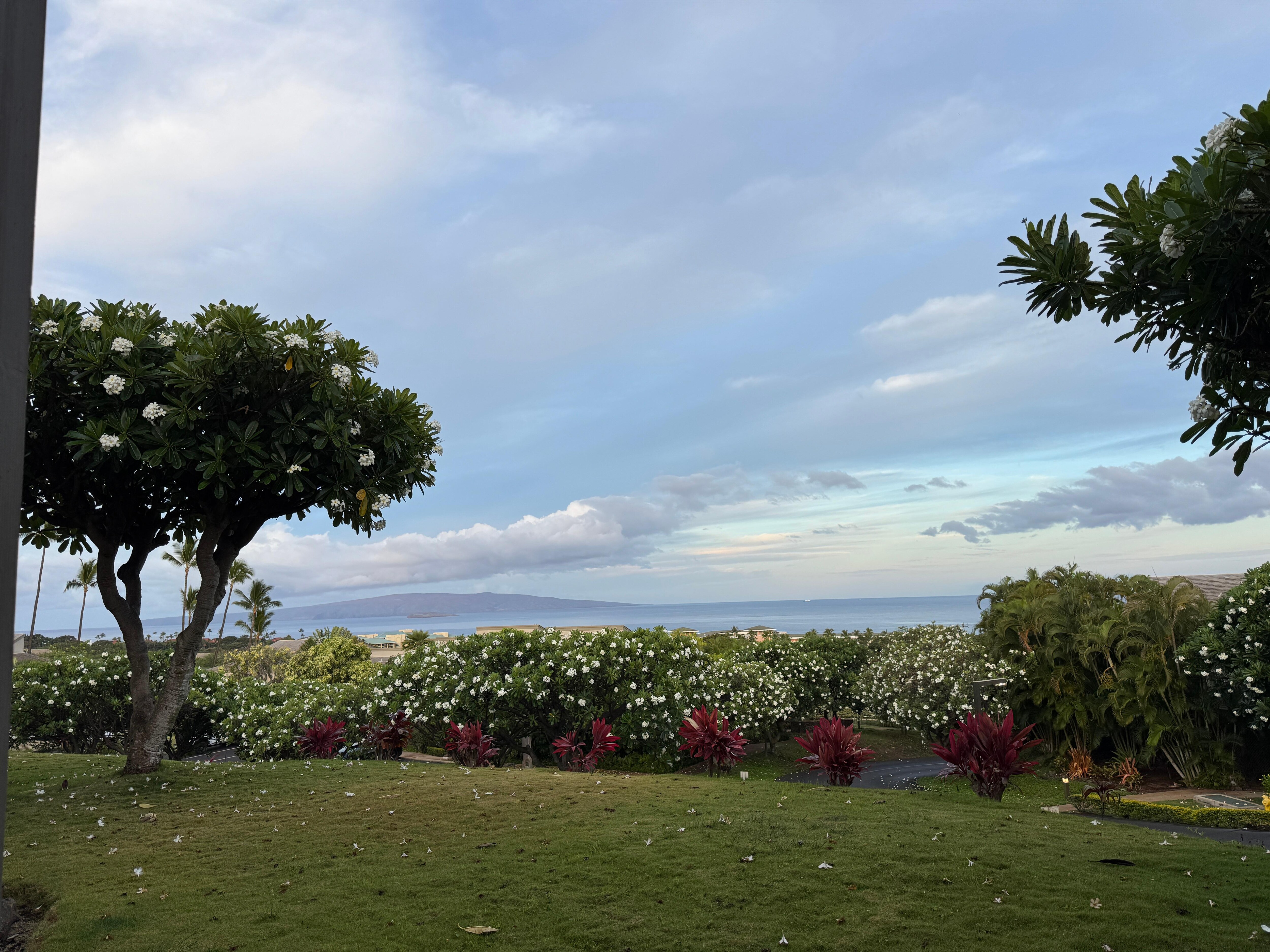This view!
