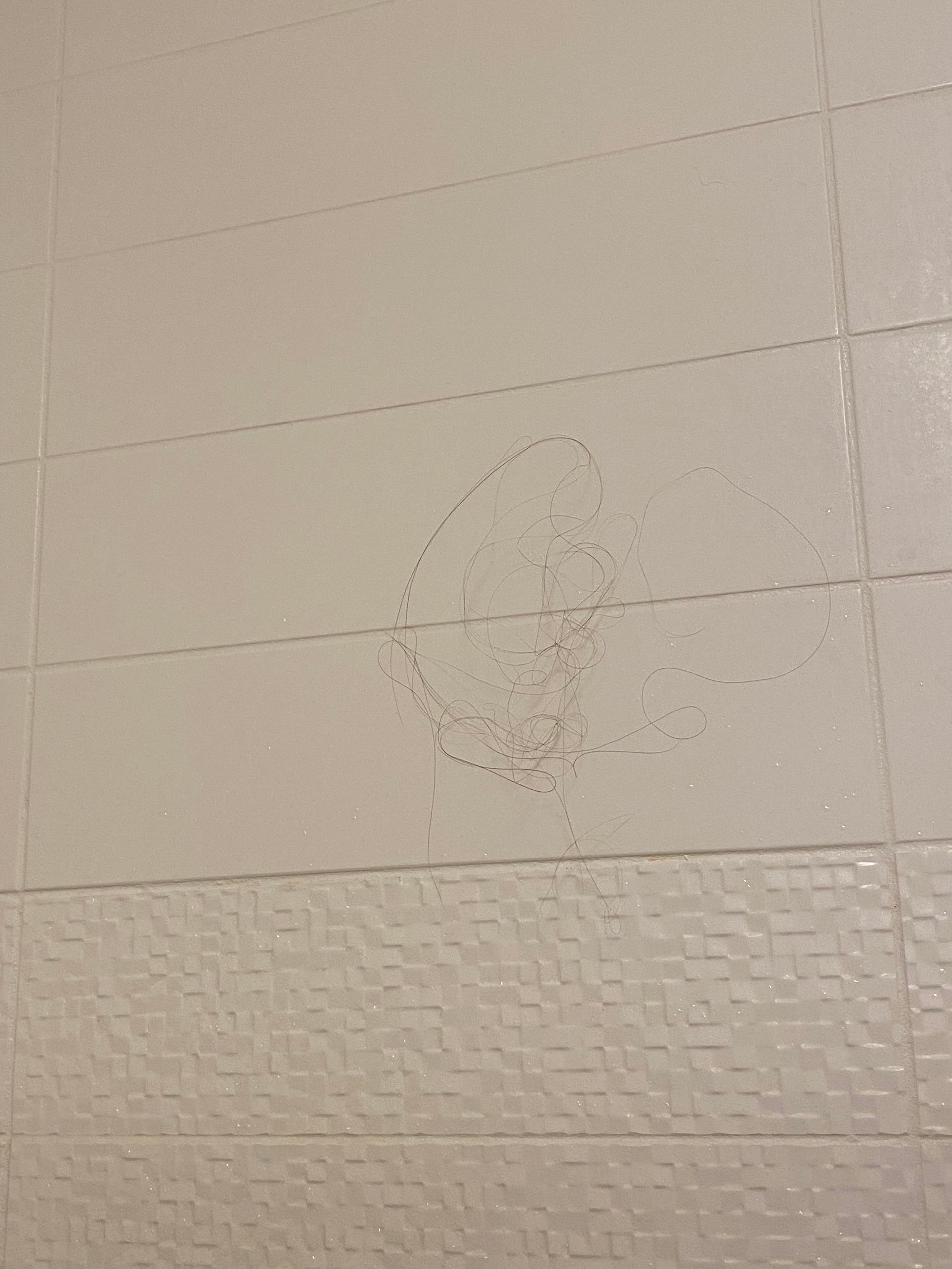 Long hair on shower wall!