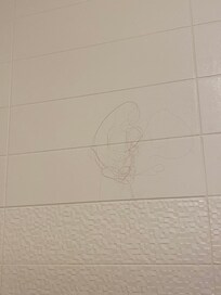 Long hair on shower wall!