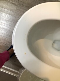 Dried pee on commode in half bath.