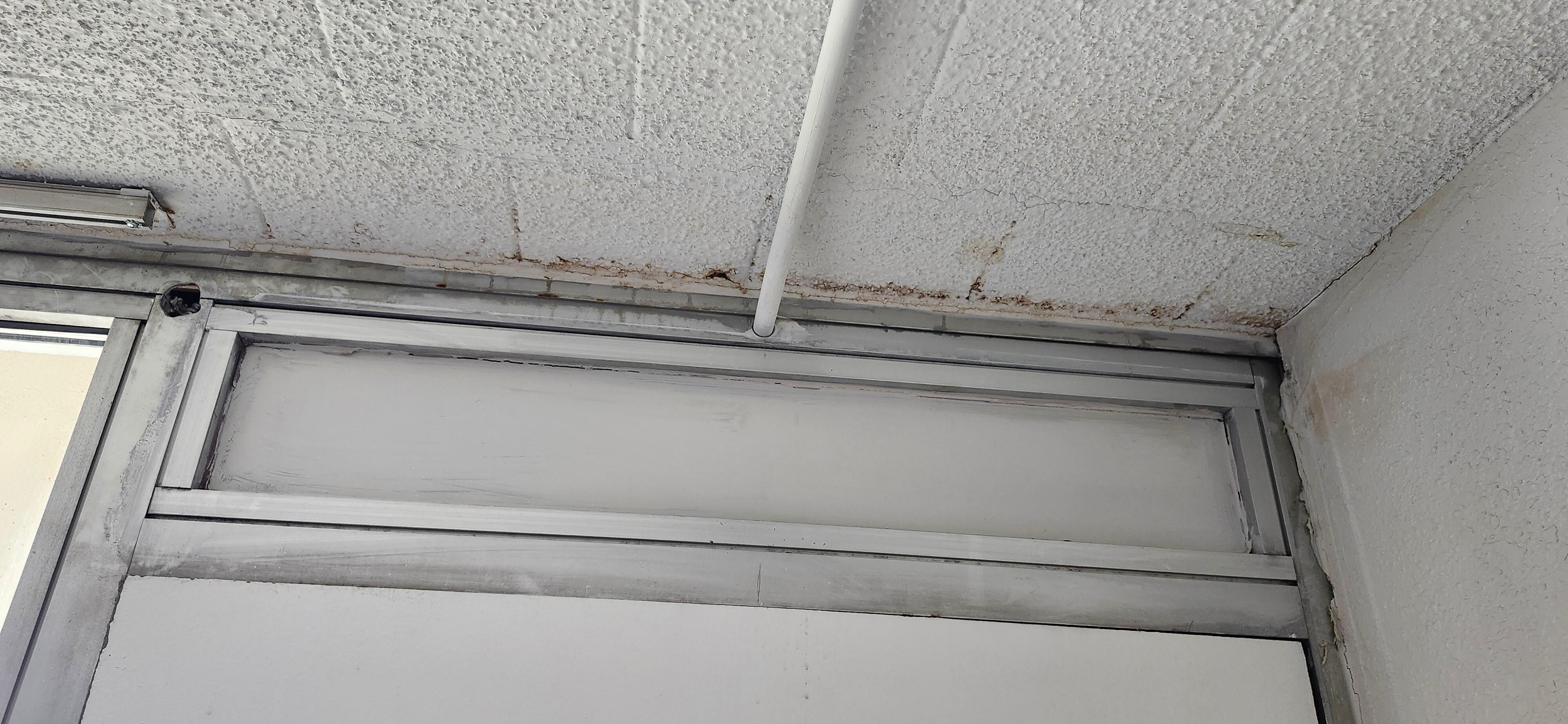 Rust and mold!