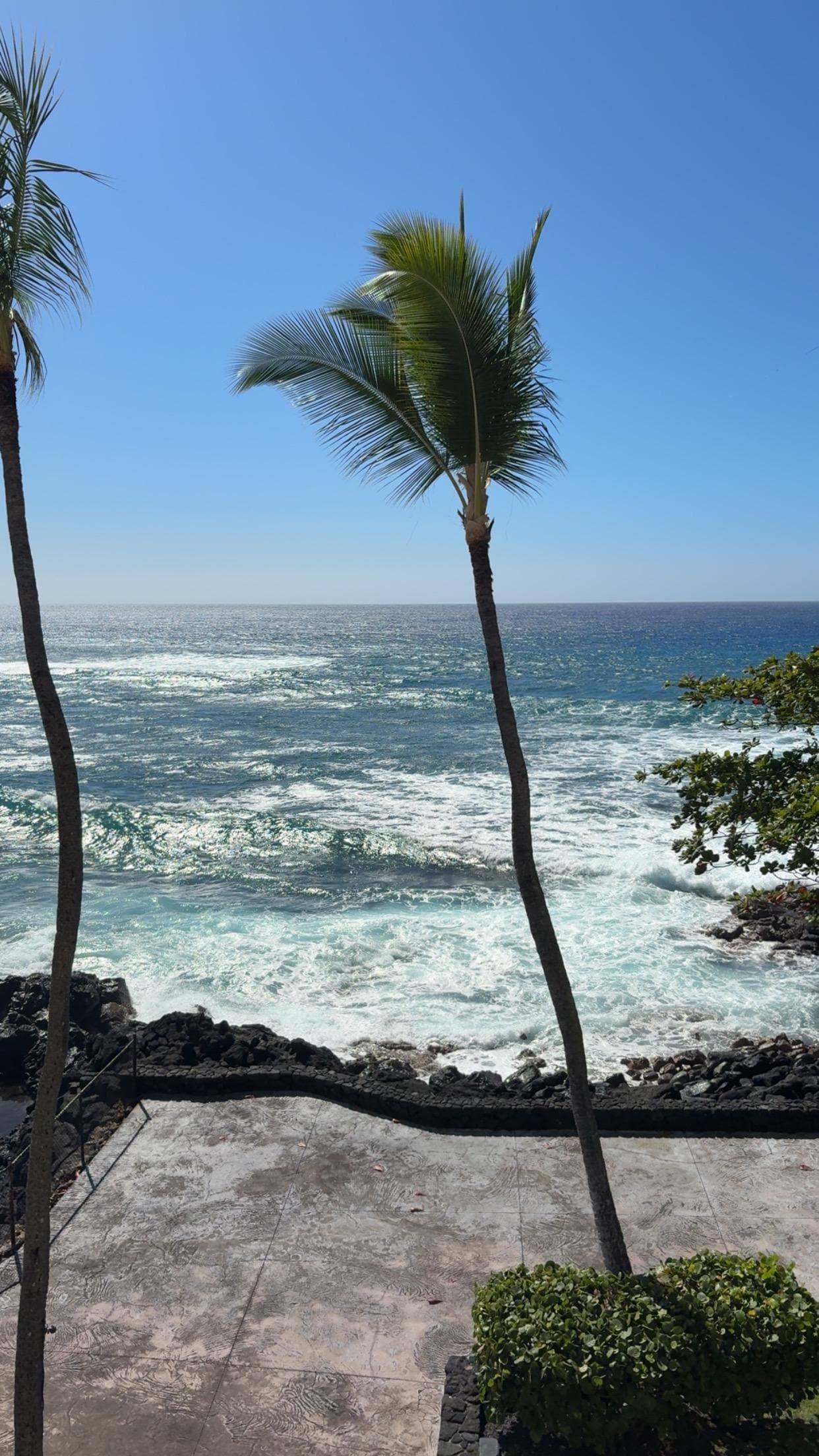 View from our lagoon tower ocean view room 