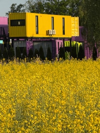 Shipping containers to match the scenery