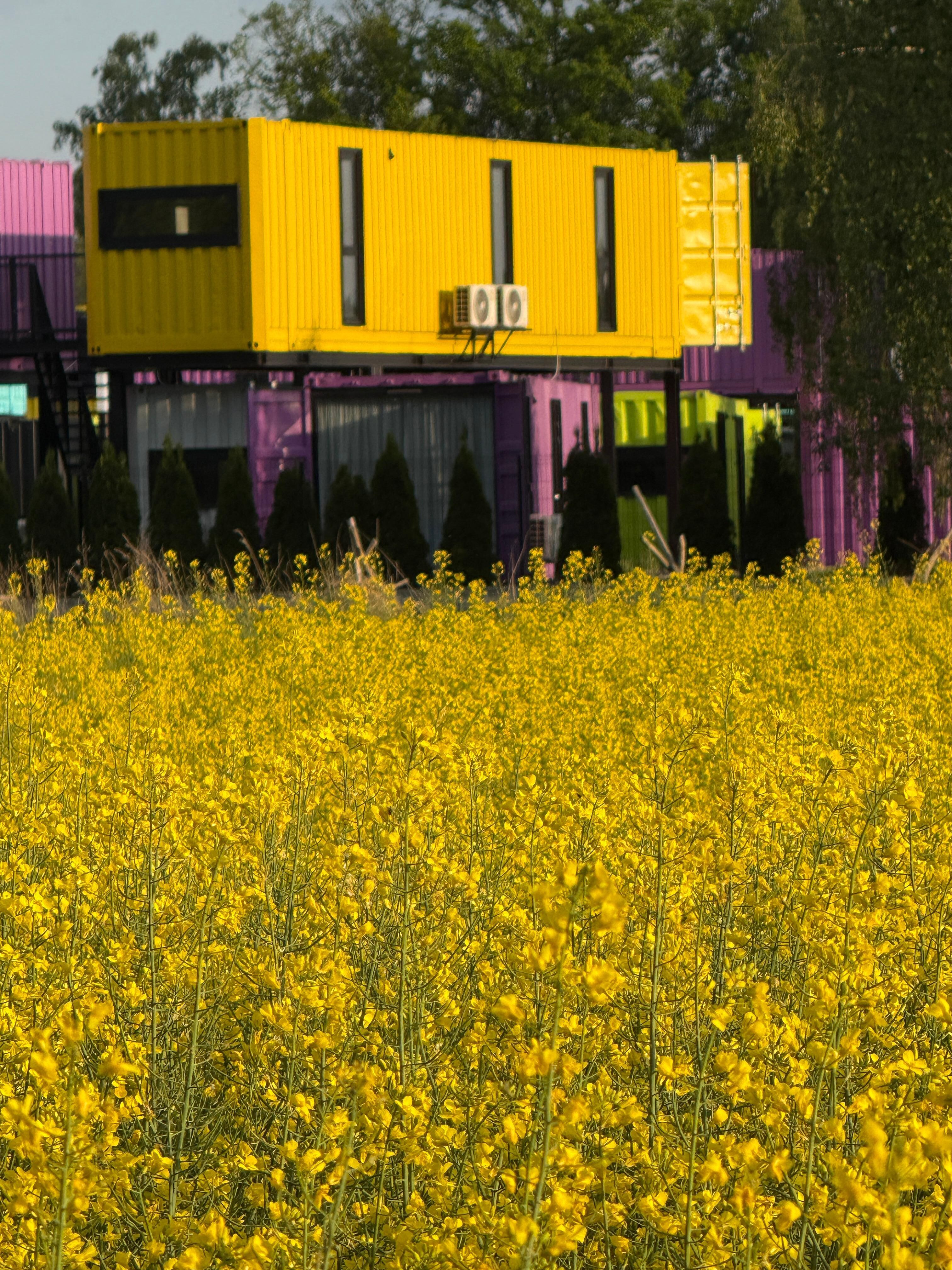 Shipping containers to match the scenery 