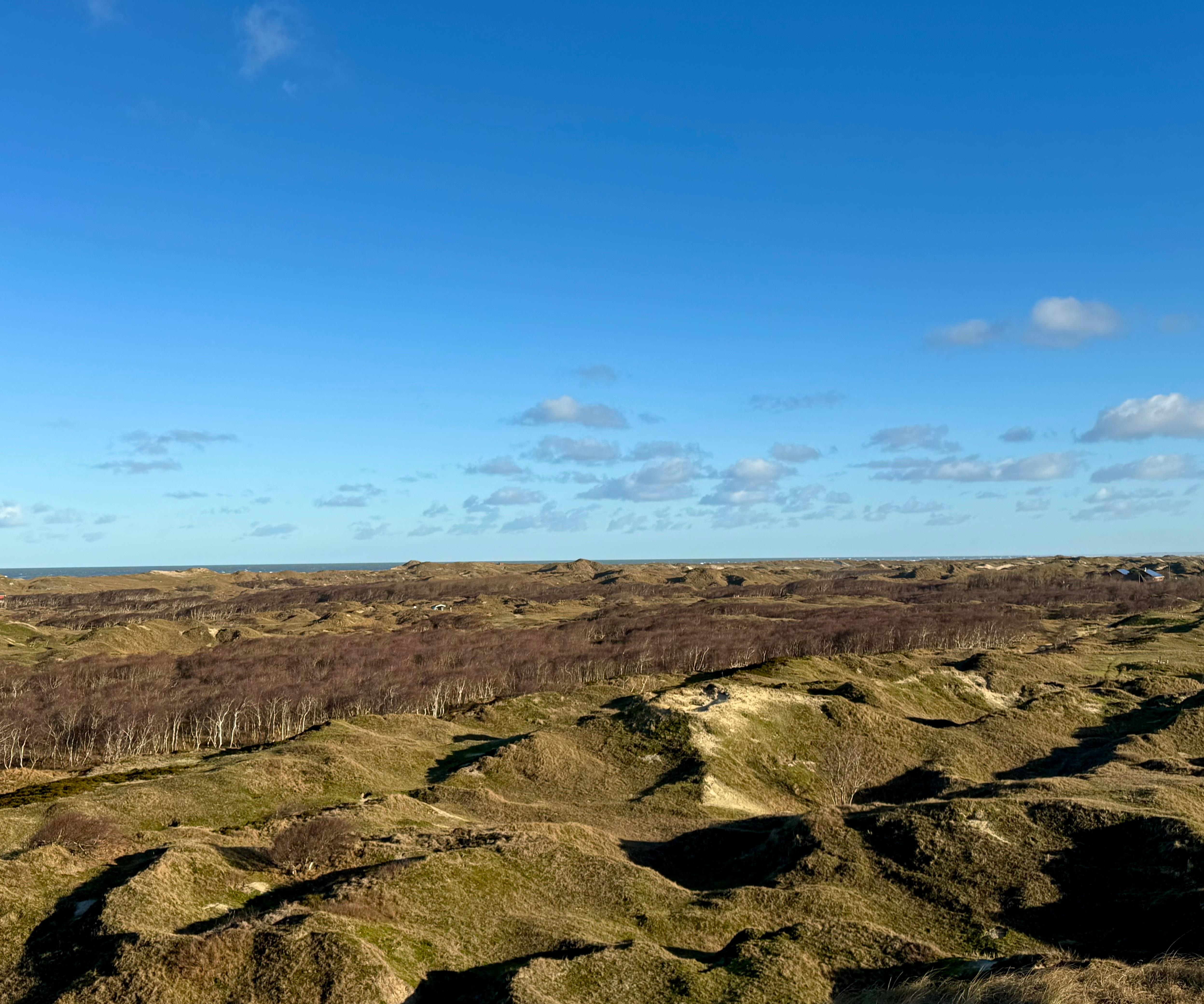 Schönste Dünenlandschaft