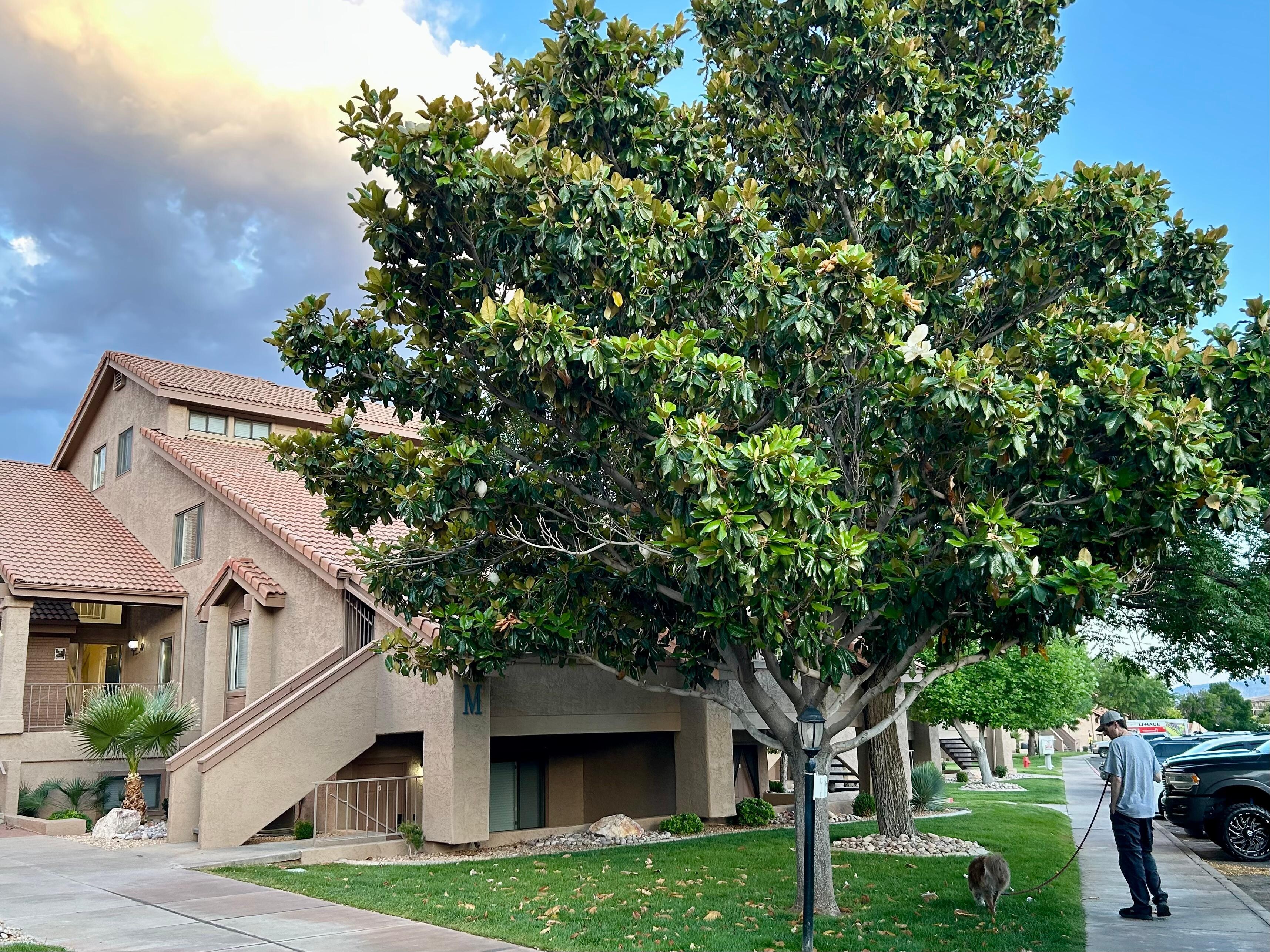 Beautiful neighborhood.