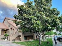 Beautiful neighborhood.