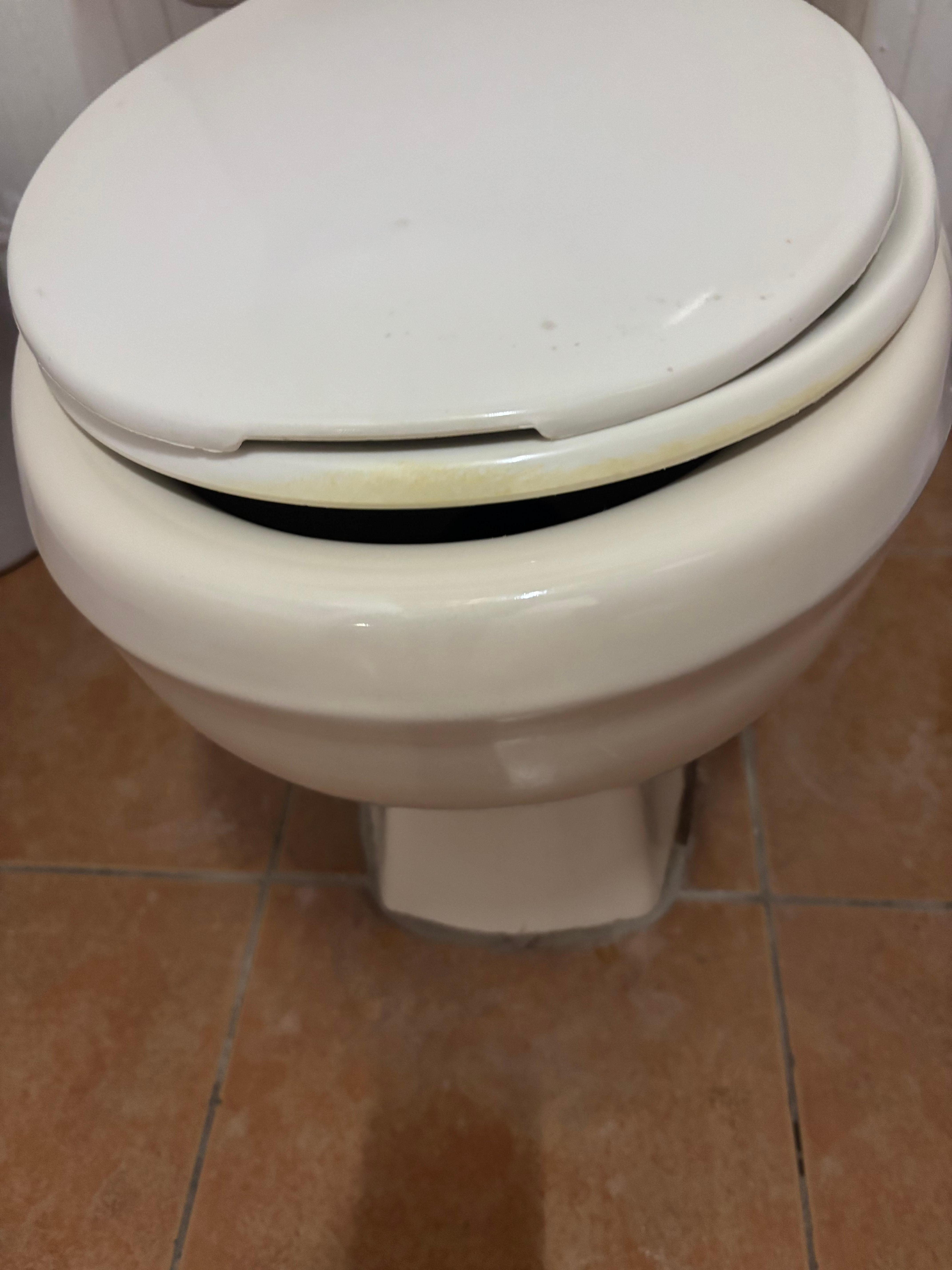 Seat doesn’t fit the toilet and very low to the ground