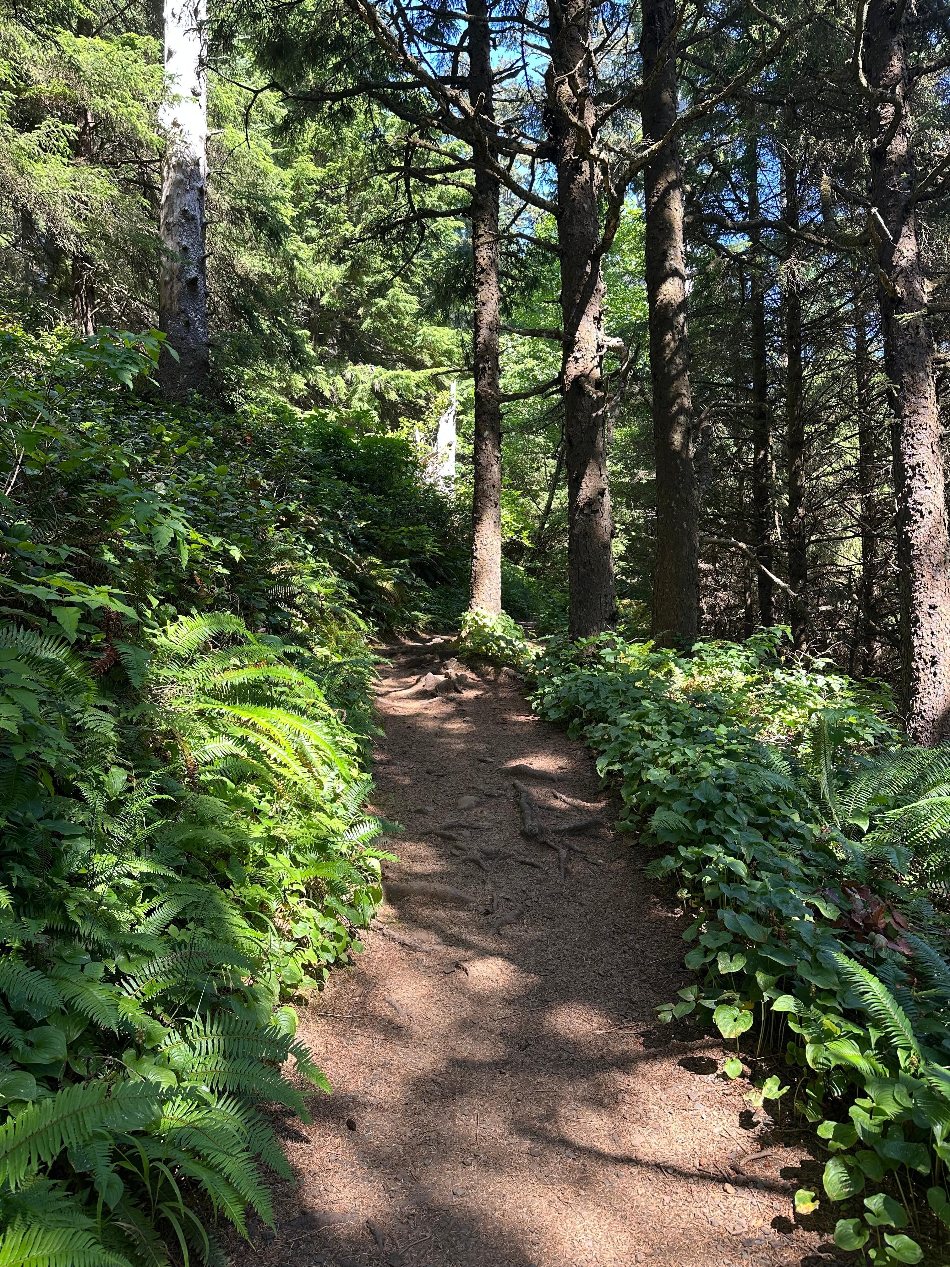 Hike