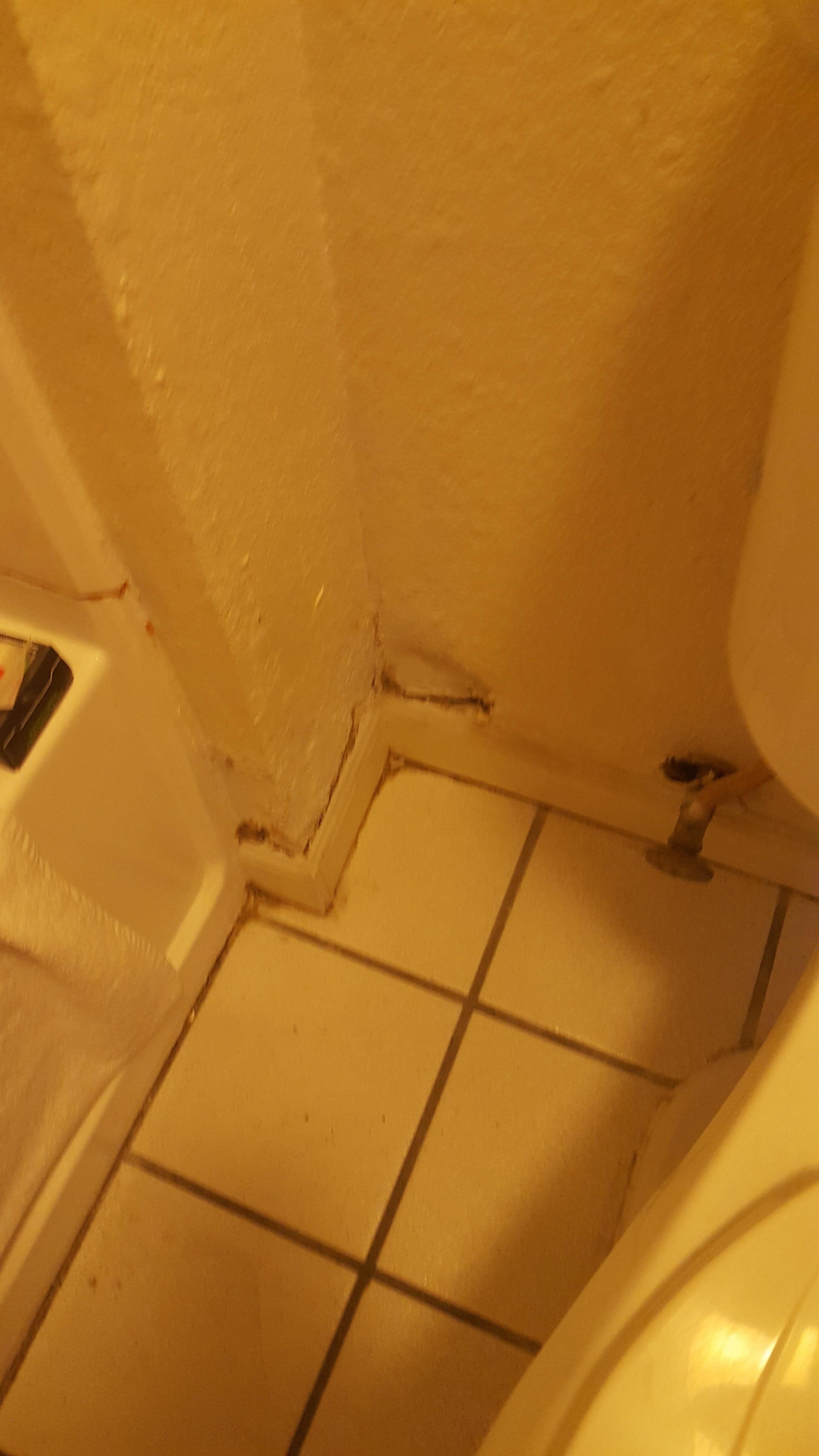 One of the spots that looked like blood splatter