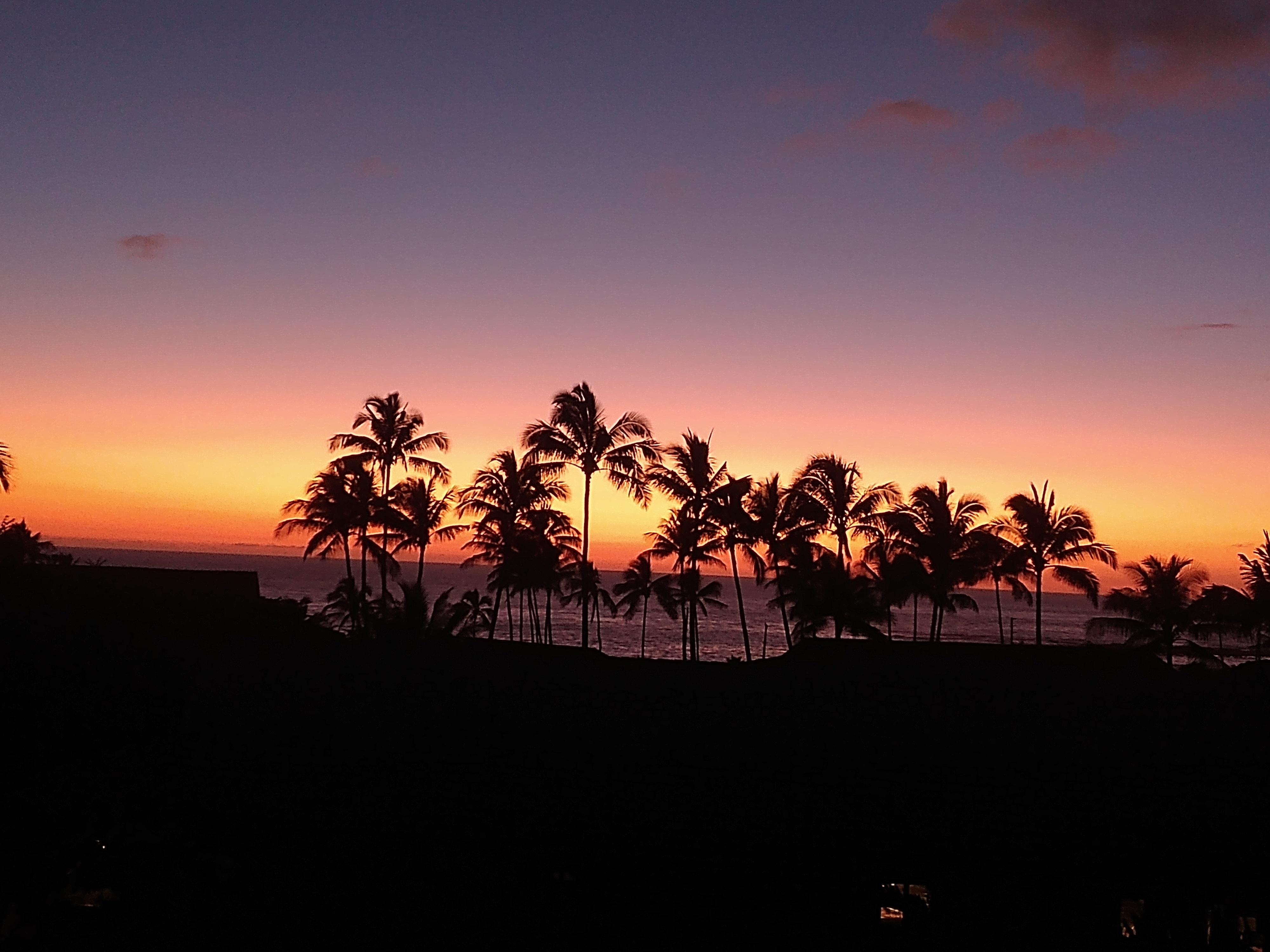 Beautiful sunset from the Lanai. Notice the heart formed by the palm trees